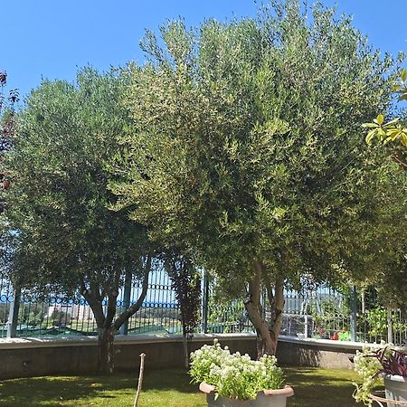 Villa Luiss Panorama Durrës Exterior foto